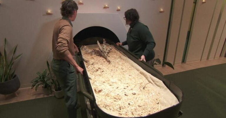 Delaware Legalizes Human Body Composting