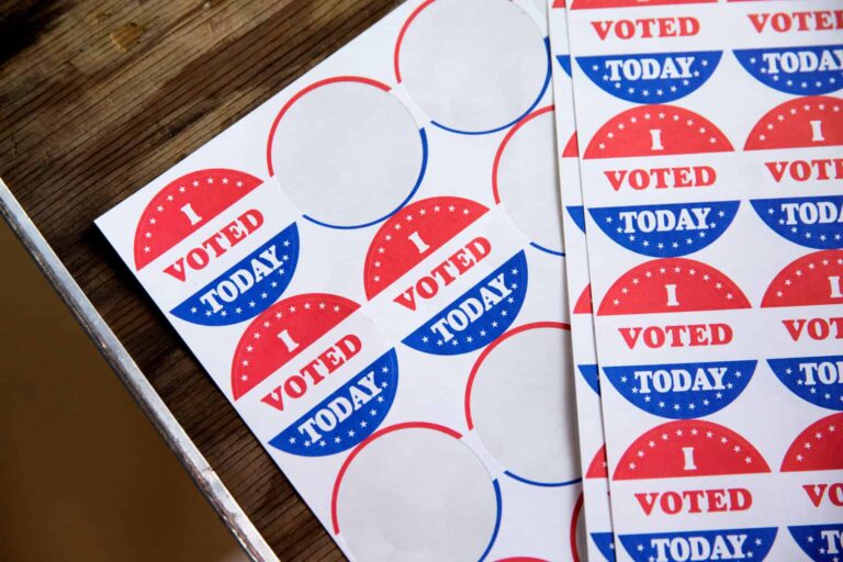 Georgia GOP Vice Chair Voted Illegally While on Probation