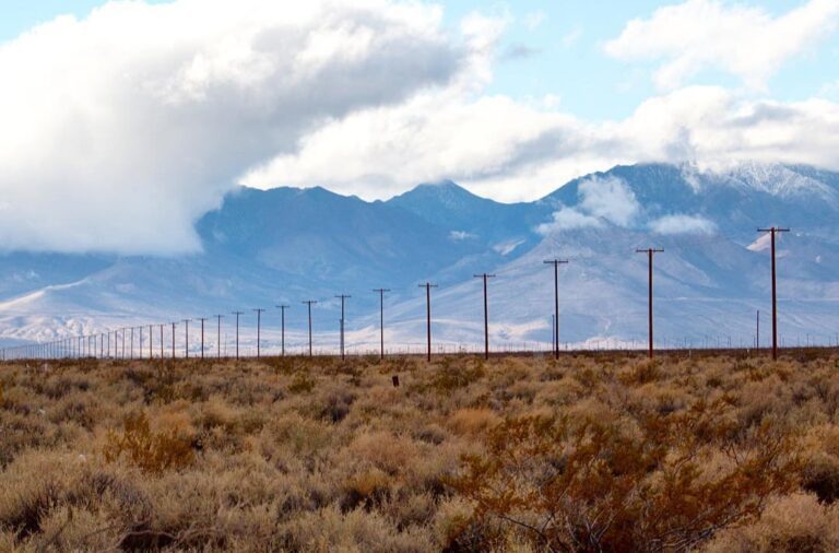 The Costly Quest for Energy Transmission Reform