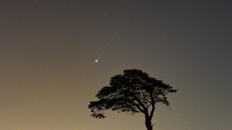 ‘Horned’ Comet 12P/Pons-Brooks Captured in Stunning Photos