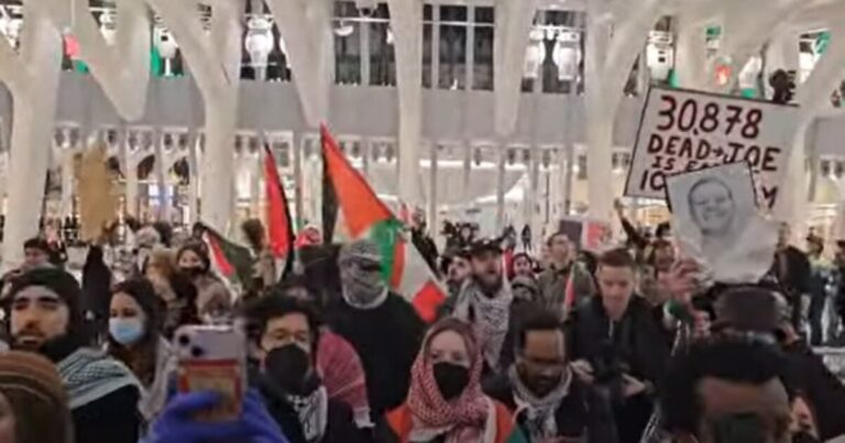 Pro-Palestine Protesters Storm World Trade Center