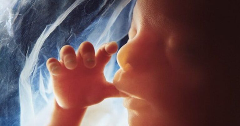 MacArthur Foundation Funds Abortion Industry