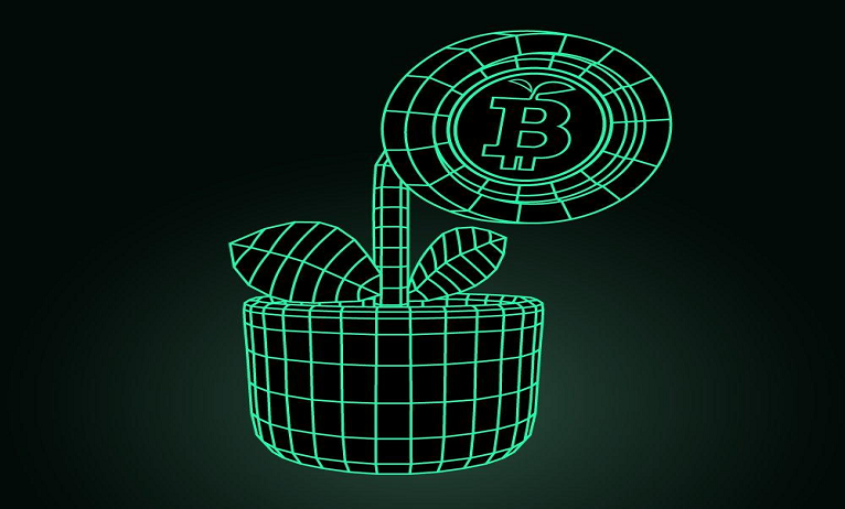 Green Bitcoin (GBTC): The rising star of the crypto bull run
