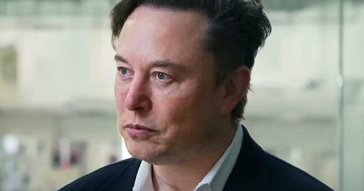 Elon Musk Exposes Democratic Party’s Use of Illegal Immigration