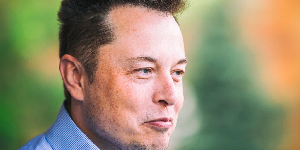 Elon Musk Considers Accepting Dogecoin for Tesla
