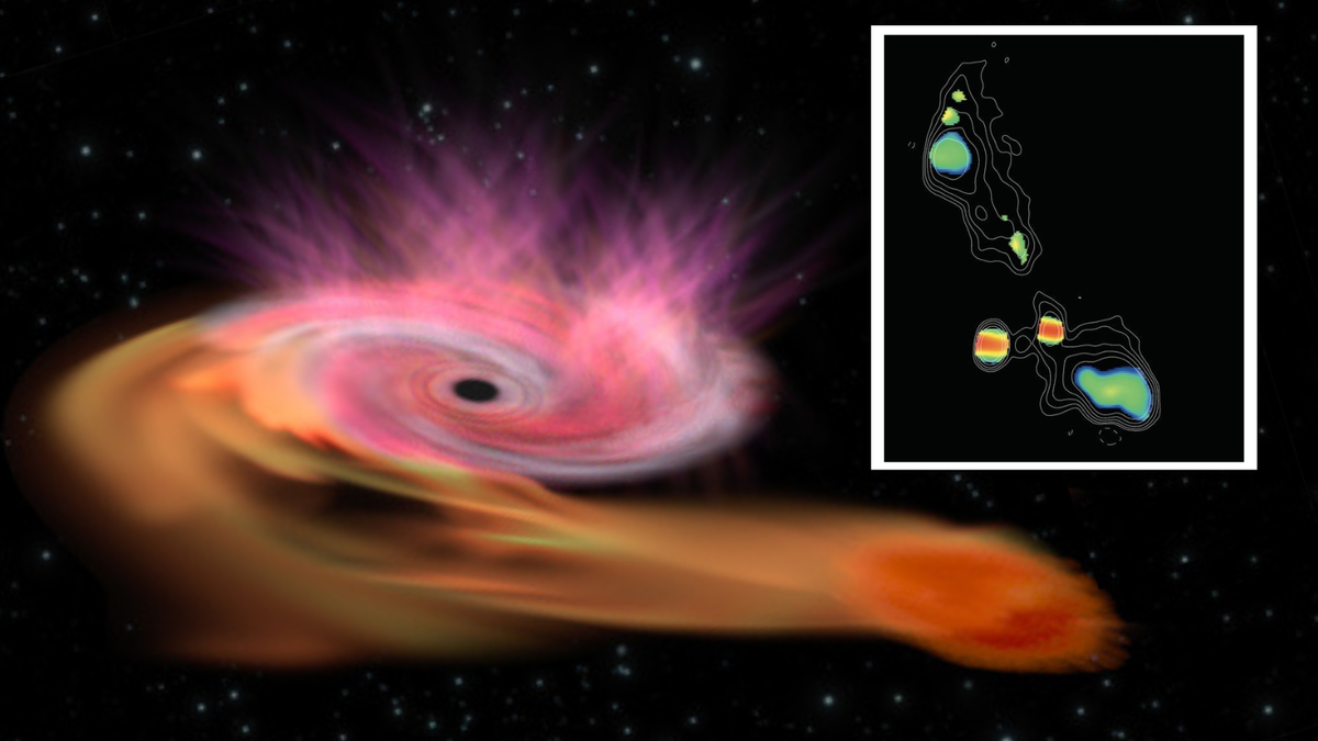Mysterious CSOs Unveiled: Black Holes Dine on Stars