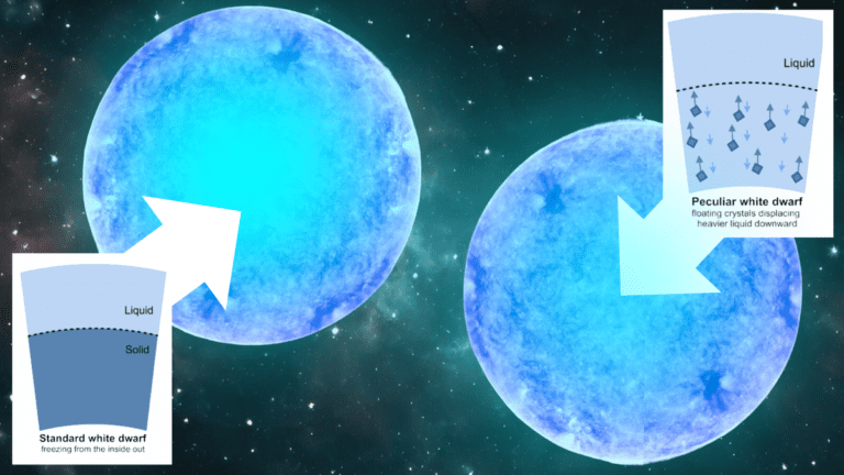 White Dwarf Stars Defy Death, Generate Energy