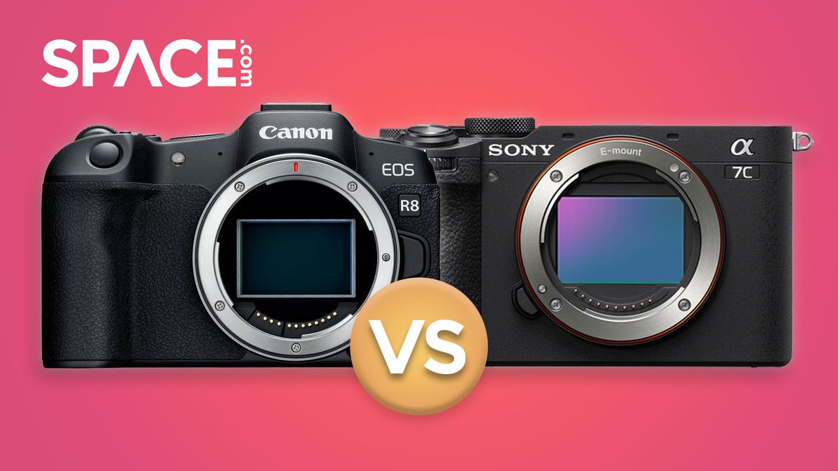 Sony A7C II vs Canon EOS R8: A Comparison