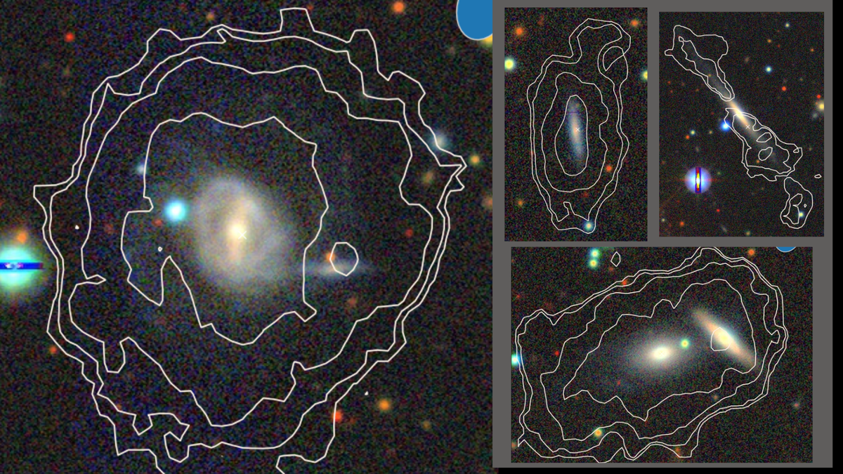 “Gold Rush” of 49 New Galaxies Discovered