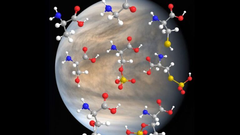 Venus’ Toxic Clouds May Have Amino Acids
