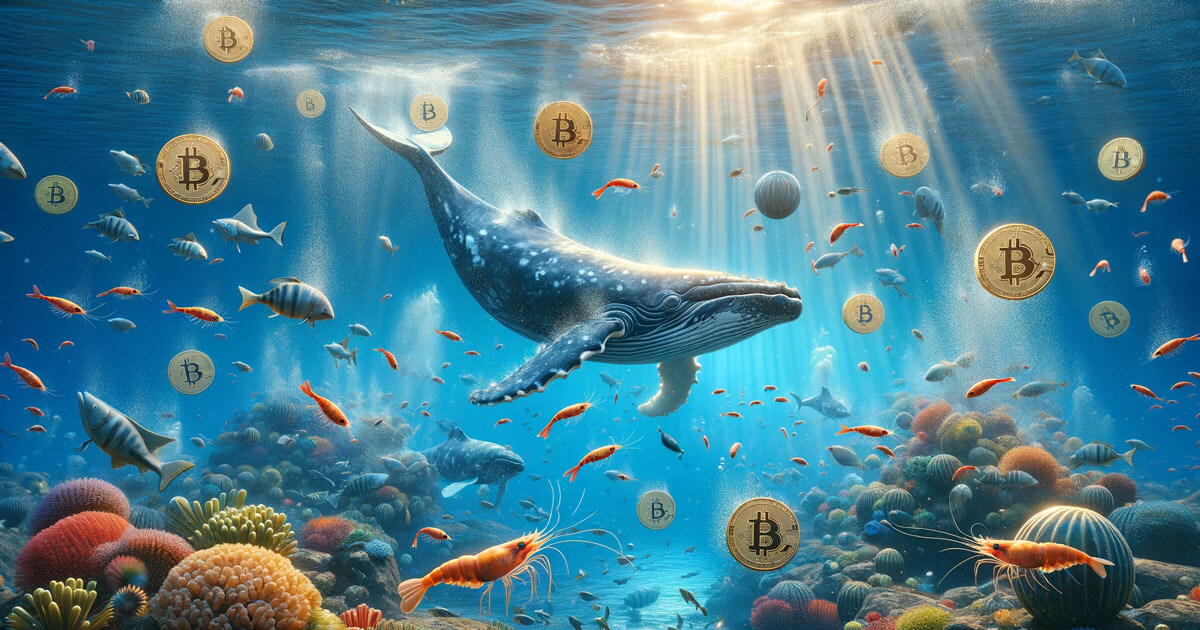 Shrimps to Whales: Bitcoin Supply Distribution Analysis