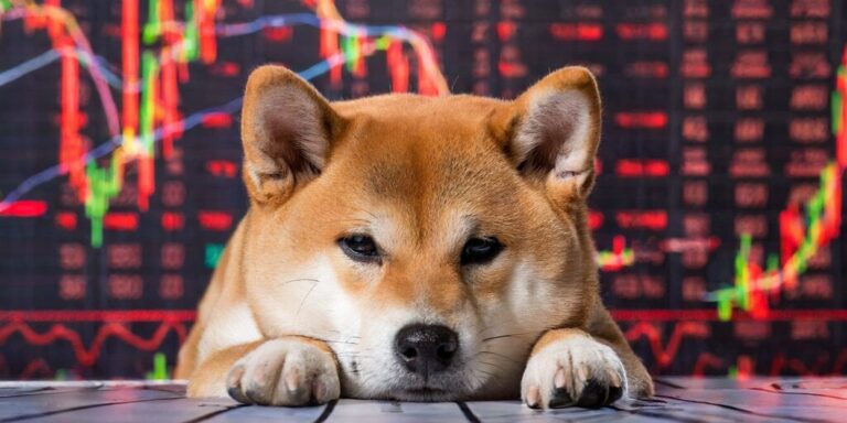 Meme Coin Prices Plunge Amid Bitcoin Flash Crash