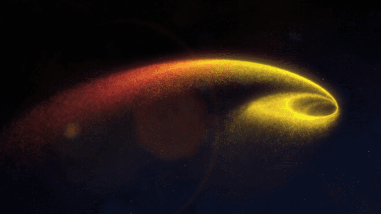 Closest Visible-Light Star Ripped Apart by Black Hole