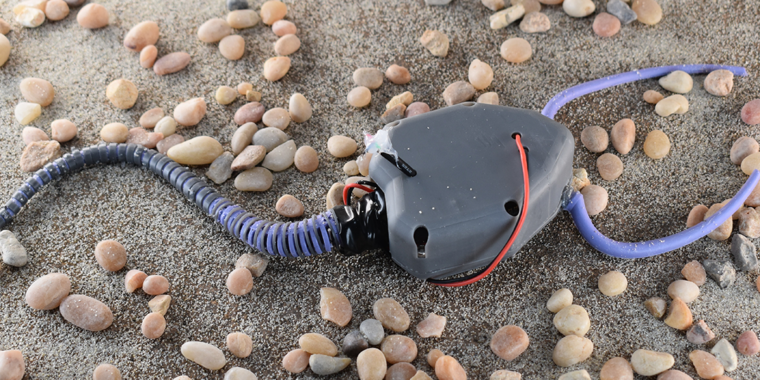 Researchers Create Soft-Robot Replica of Ancient Sea Creature