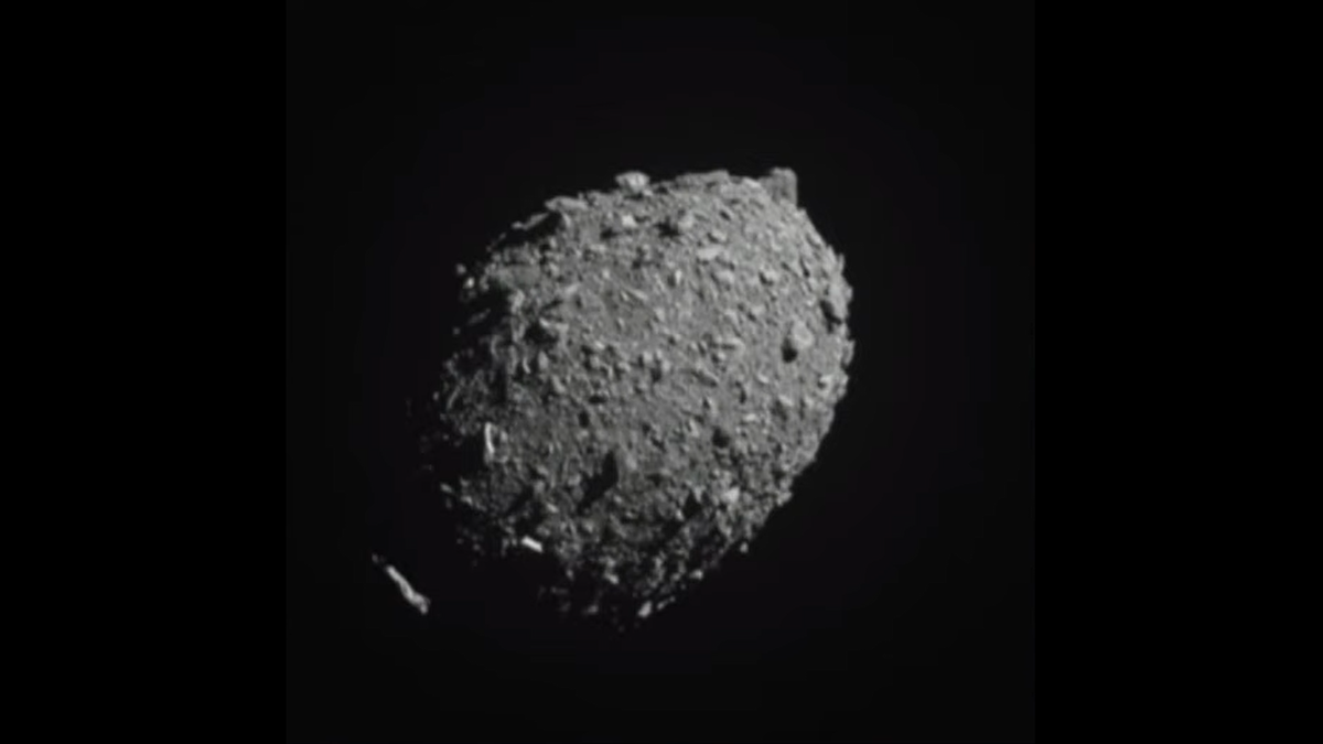 DART Mission Changed the Shape of Asteroid Dimorphos