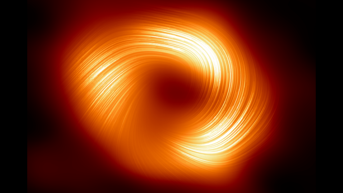 First Polarized Light Image of Magnetic Fields Around Black Hole