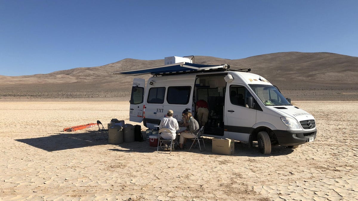 Life Teeming Beneath Chile’s Arid Atacama Desert