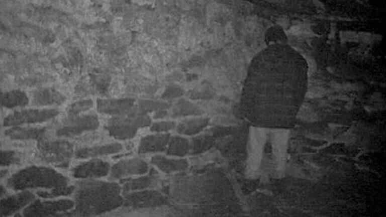 Blair Witch Actors Request Residuals & Grant