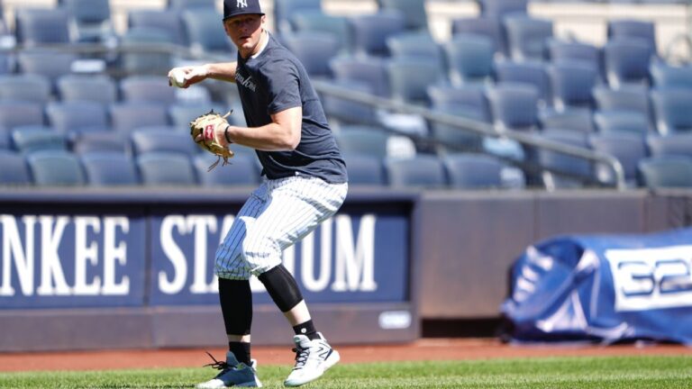DJ LeMahieu’s Rehab Assignment for Yankees Encounters Setback