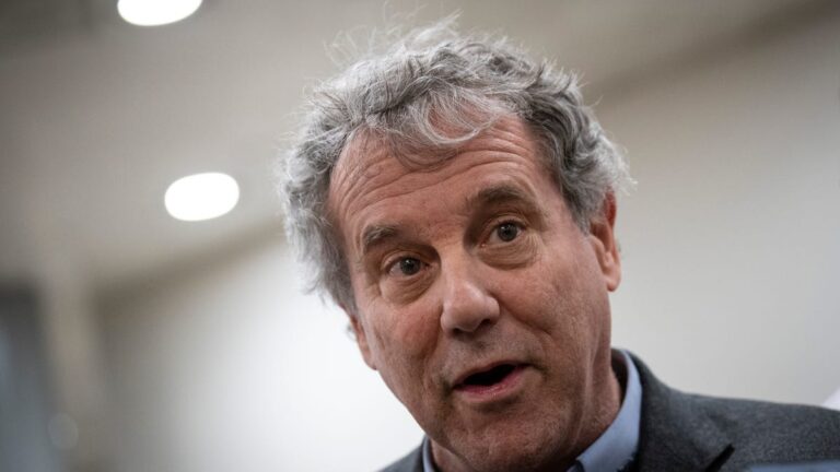 Senator Calls for Banning Chinese Electric Vehicles