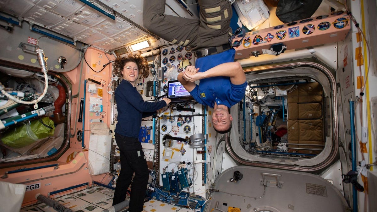 Mutated Bacteria Thriving on International Space Station
