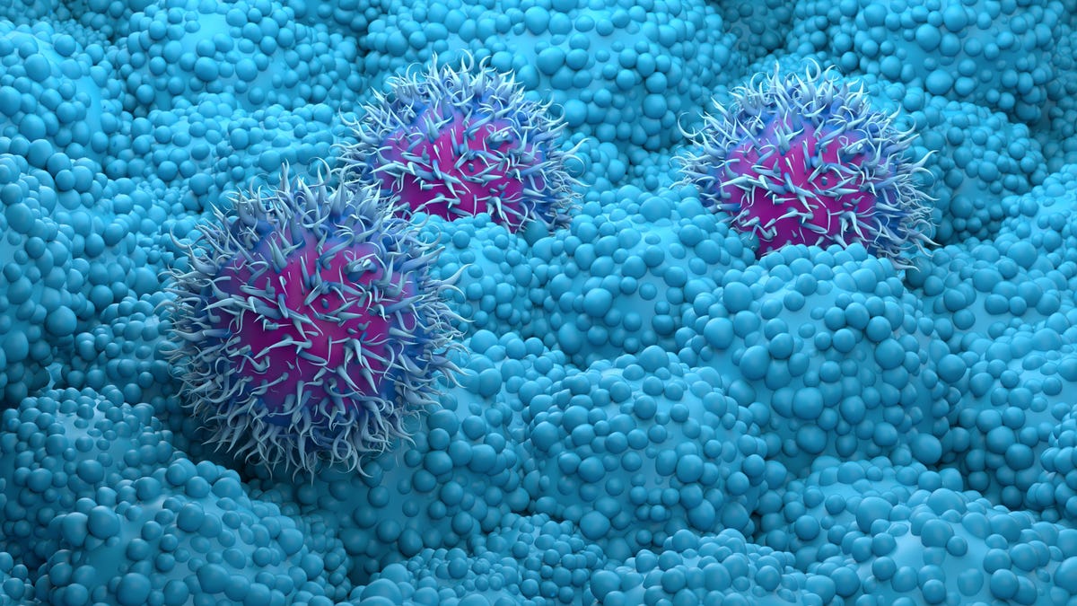 New Imaging Technique Reveals Cancer Cell Fatty Cargo