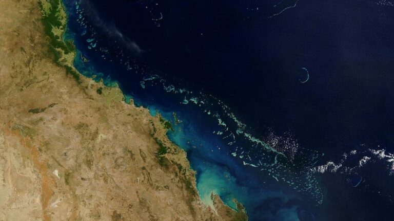 Global Coral Reefs Turning White From Warming temperatures