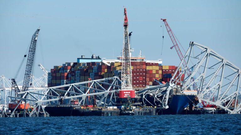 Baltimore Publisher Sues Owner of Cargo Ship