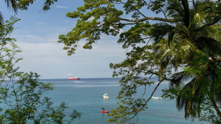 Passengers Abandoned After Missing Cruise Ship Departure