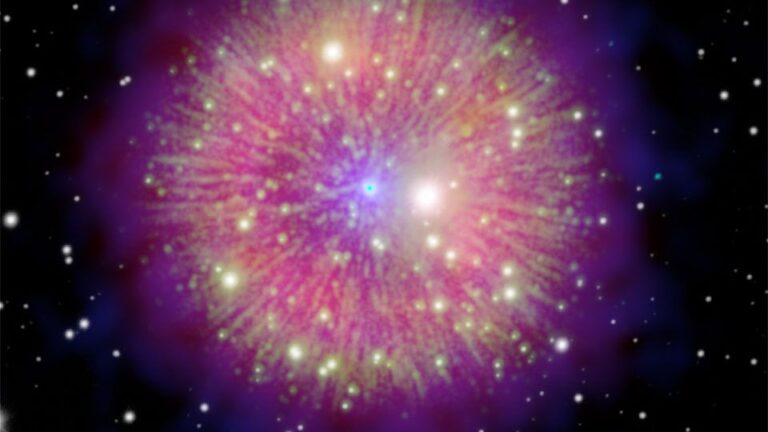 Remnants of 1181 Supernova Imaged in Cassiopeia