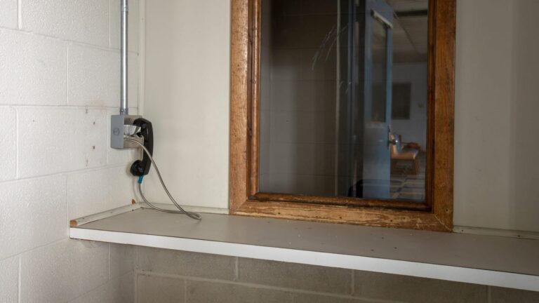 Michigan Lawsuits Allege Prison Phone Company Conspiracy