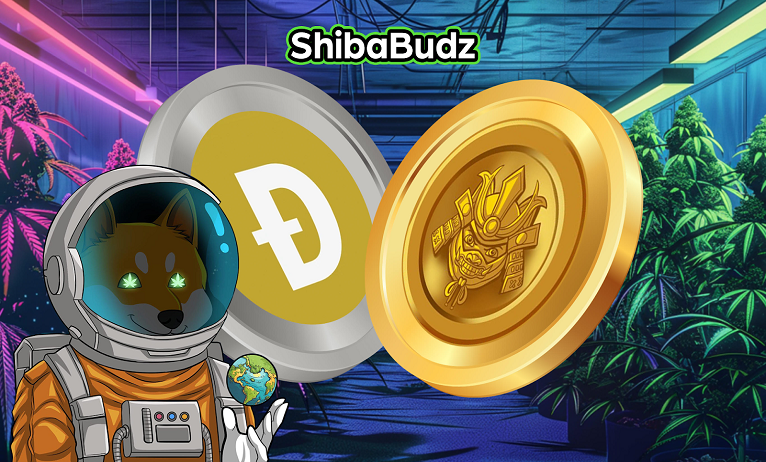 DogeCoin Halving and Rise of Shiba Budz