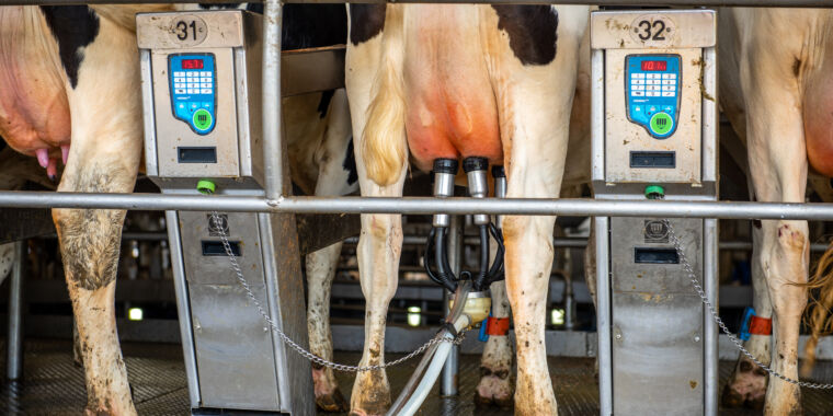 FDA Detects H5N1 Genetic Fragments in Commercial Milk