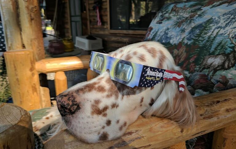 The Great American Eclipse of 2017