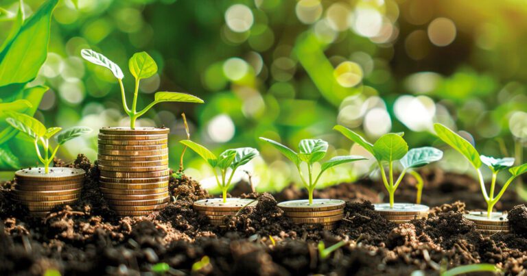 Navigating Web3 Startups with Limited Funding
