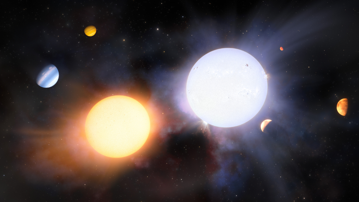 Binary stars show planetary diversity despite shared origins