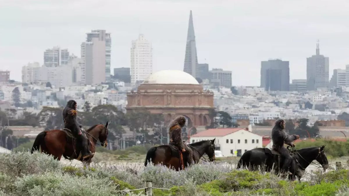 “Real” Apes on Horseback Spotted in San Francisco