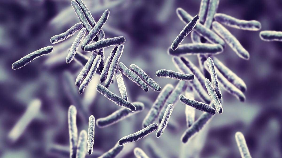 Tuberculosis Cases Rise in U.S. in 2023