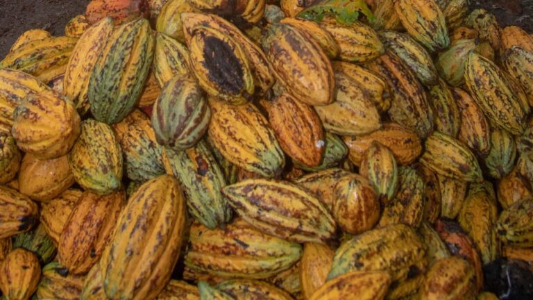 Candy Commodity Markets Facing Supply Shortage