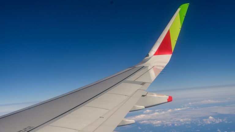 How Winglets Keep Airplanes Airborne