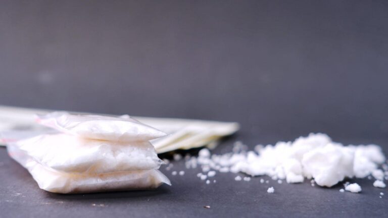 Scientists Identify Neural Pathway in Brain for Drug Addiction