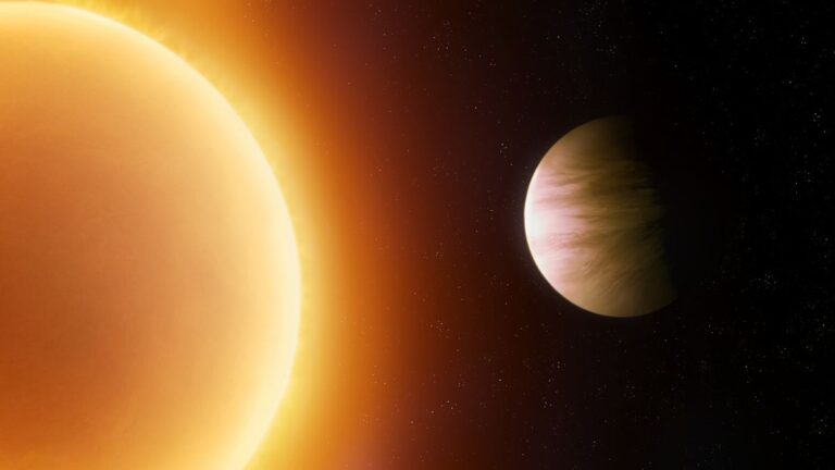 Ribbon Worlds: Potential Homes for Alien Life
