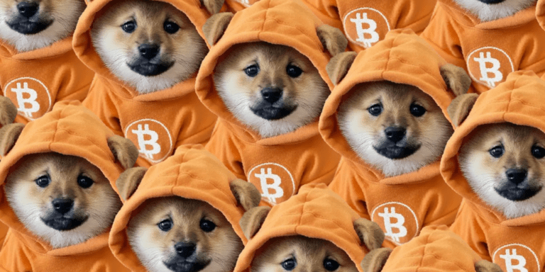 DOG•GO•TO•THE•MOON Airdrops Runes Token