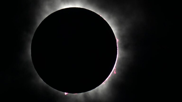 Solar Eclipse Glasses Warning Issued by Library