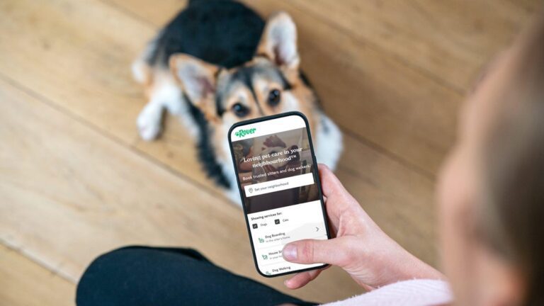 Rover Pet-Sitting App Raises Concerns