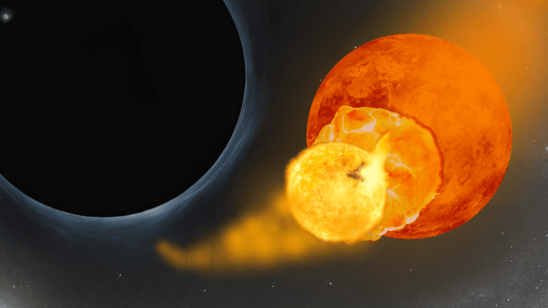 Stellar cannibalism near Milky Way’s black hole