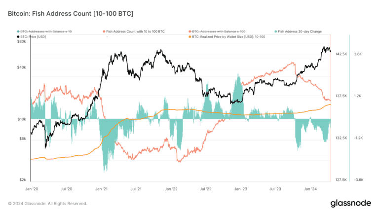 Glassnode Data: OG Bitcoin Holders (Fish) Retain Lowest Realized Price