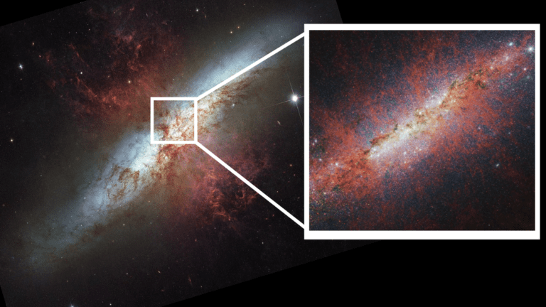JWST Observes Star-Bursting Cigar Galaxy