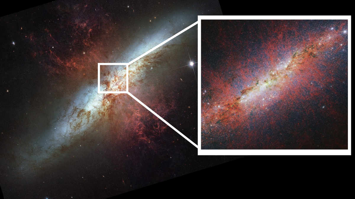 JWST Observes Star-Bursting Cigar Galaxy