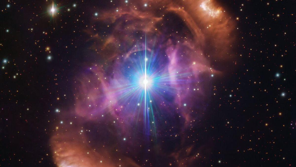 Massive Stars Gain Magnetism through Mergers